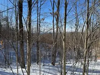 Lot#32 Beech Ridge Lane, West Paris, ME 04289 - Image #3