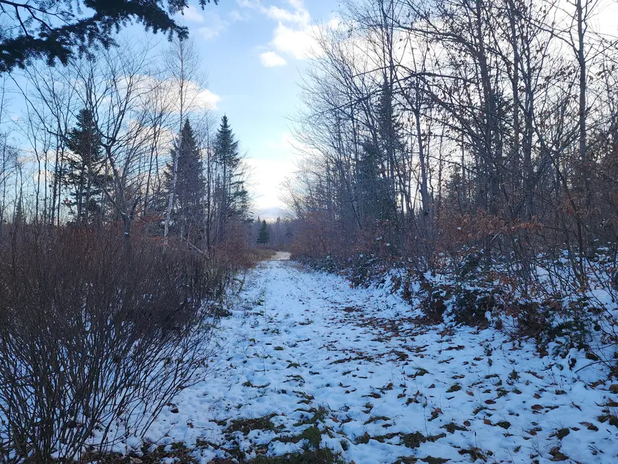 M 19 L 1 Off Teses De Souens Road, Grand Isle, ME 04746 - Image #3