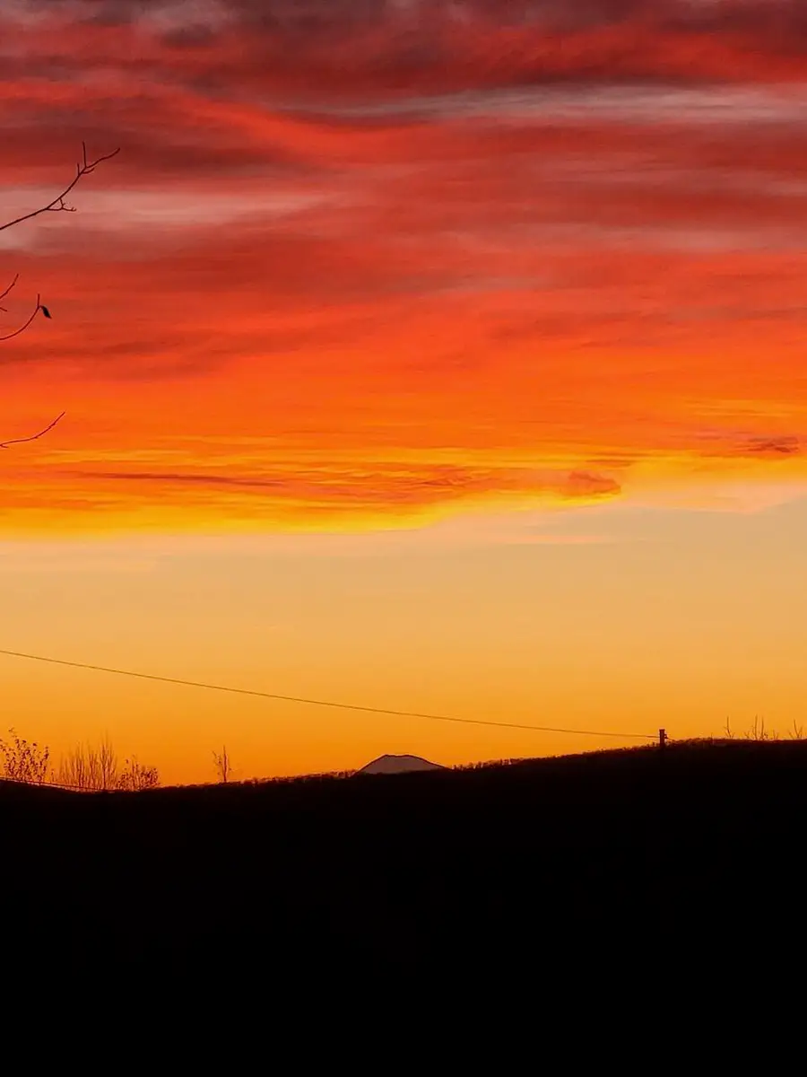 Lot 9 Moose Ridge Road, Oakfield, ME 04763 - Image #3