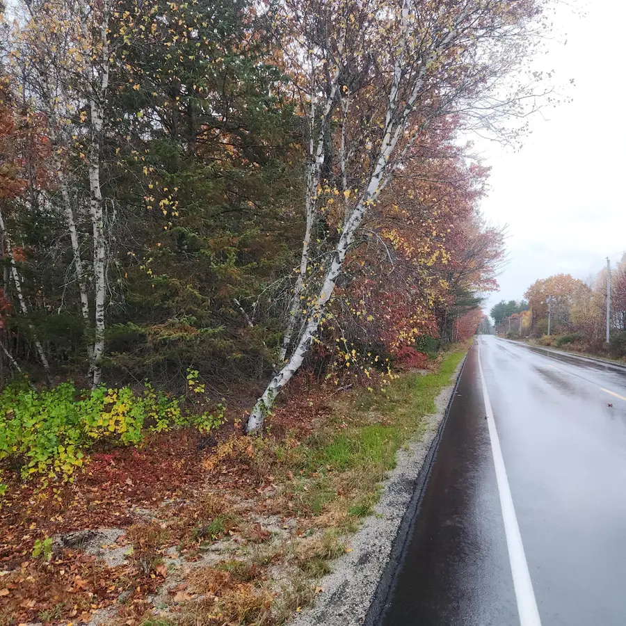 1910 Maine 193, Beddington, ME 04622 - Image #3