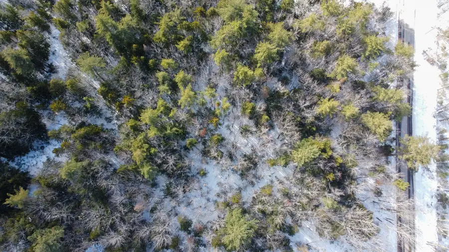 100 Sam Brown Hill Road, Brownfield, ME 04010 - Image #3