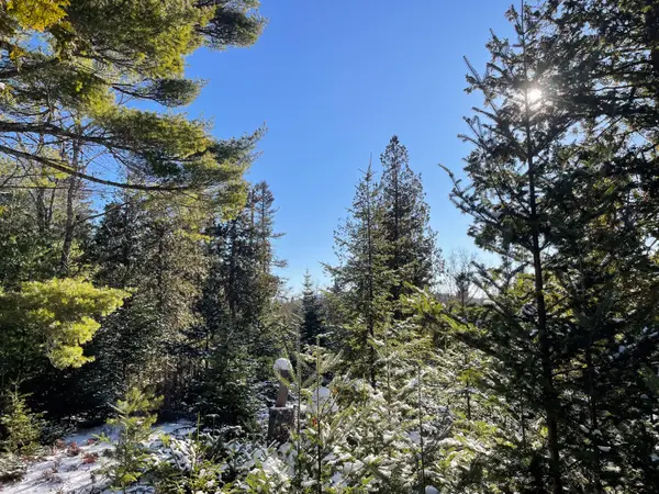 0 Juniper Ledge Road, Bar Harbor, ME 04609