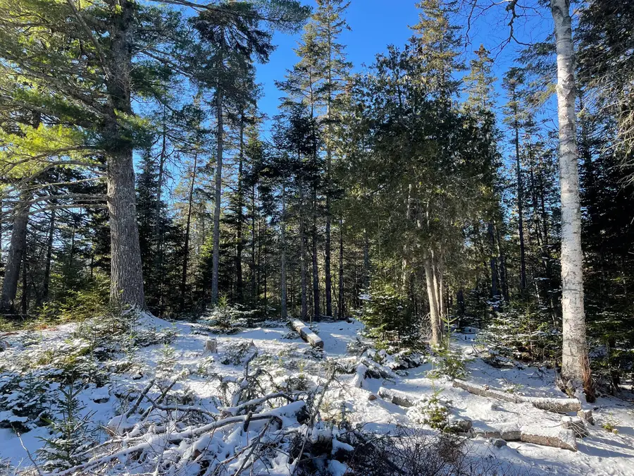 0 Juniper Ledge Road, Bar Harbor, ME 04609 - Image #3