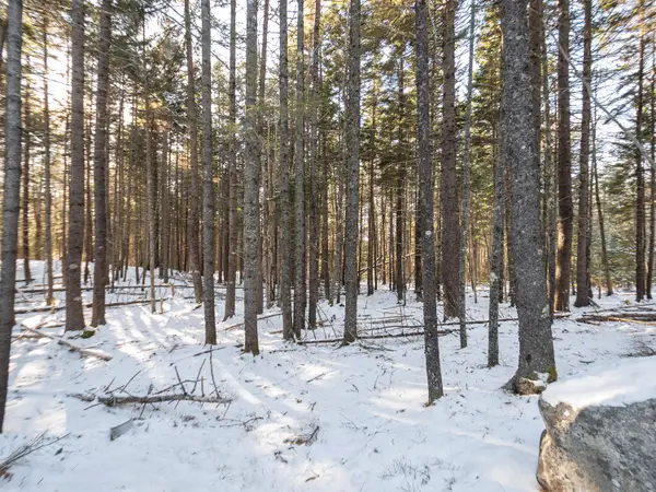 25 Long Pond Road, Southwest Harbor, ME 04679