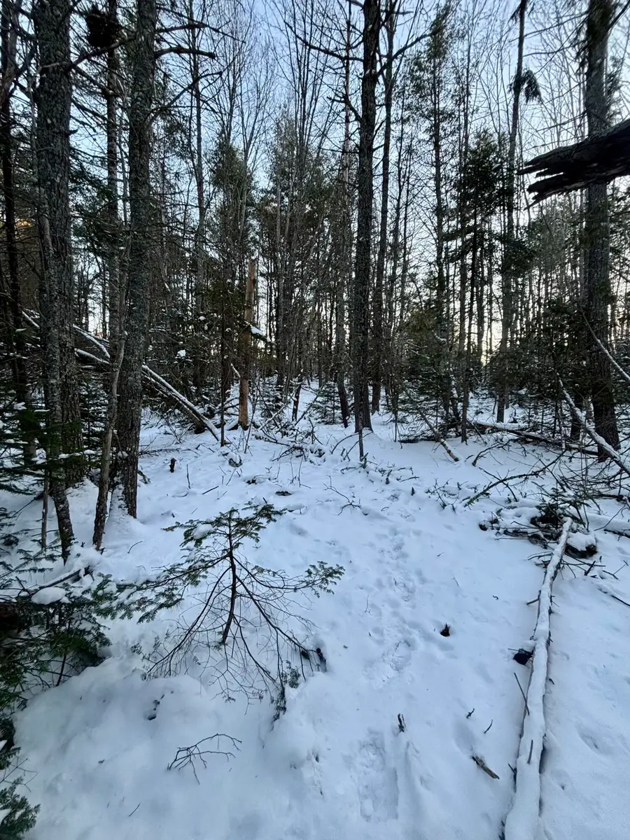 0 Meadow Brook Lane, Orland, ME 04472 - Image #3