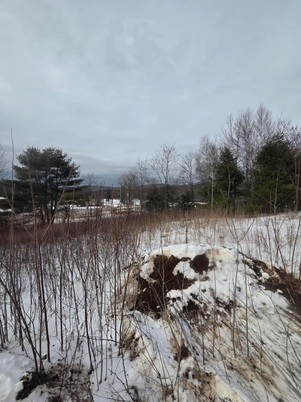 22 E Dixfield Road, Dixfield, ME 04224 - Image #1