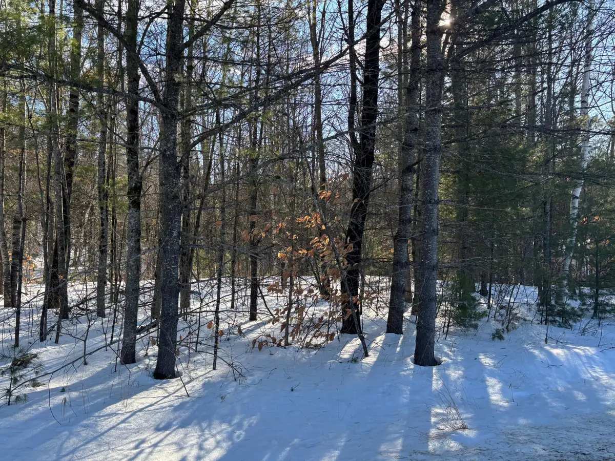 Lot 15-023 Intervale Road, Bethel, ME 04217 - Image #1