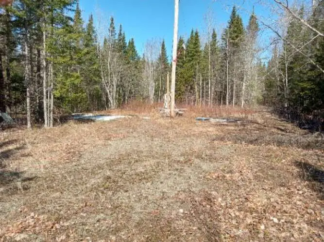Lot 85 Woodland Ridge Road, Danforth, ME 04424 - Image #1