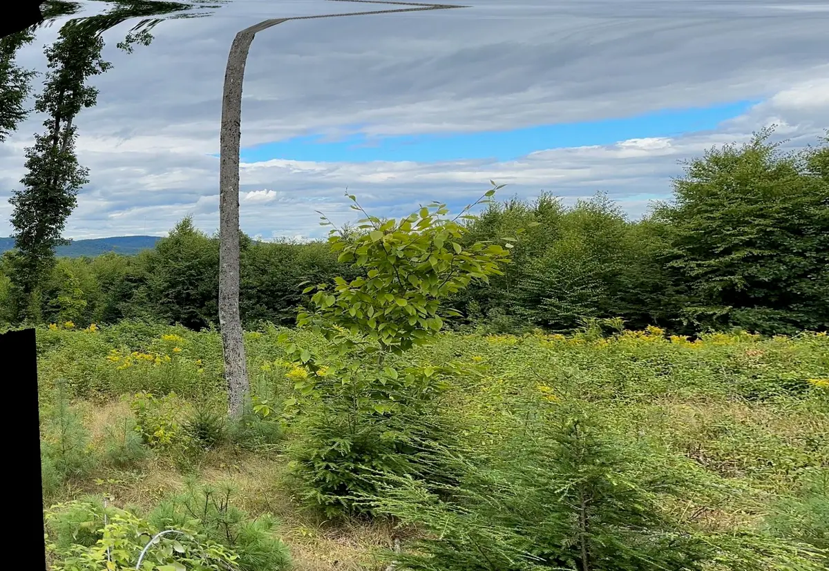 Lot #11 Jordan Heights Road, Cornish, ME 04020 - Image #1