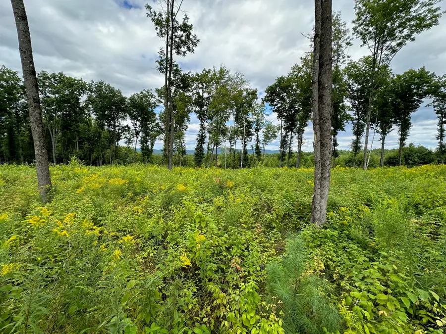 Lot #11 Jordan Heights Road, Cornish, ME 04020 - Image #3
