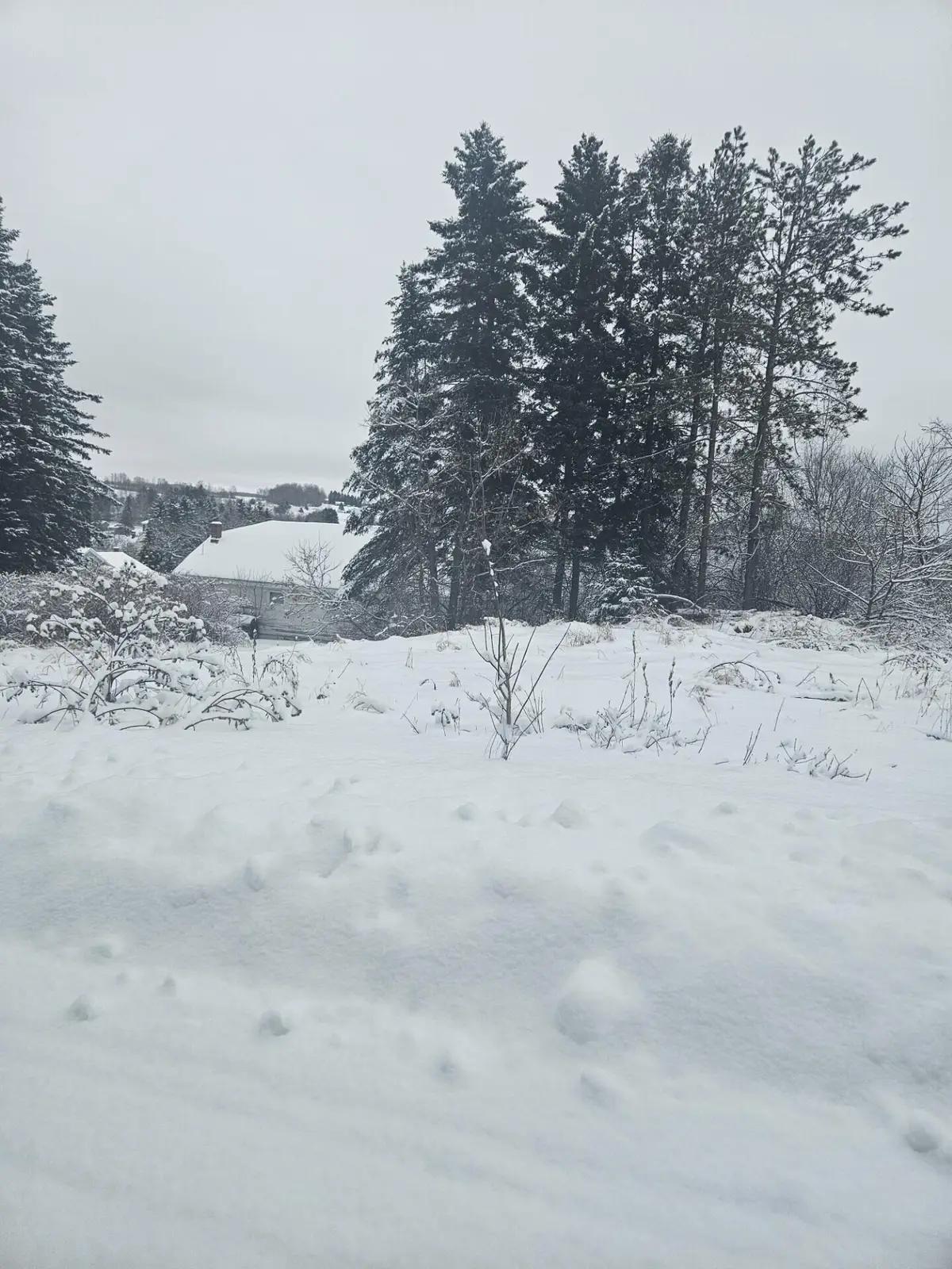 34 High Street, Limestone, ME 04750 - #1