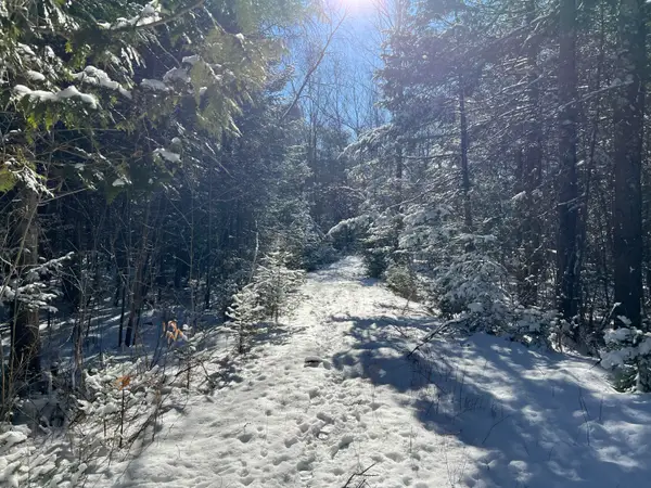 553 Corinna Road, Saint Albans, ME 04971