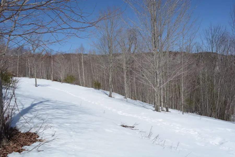 0 Durgintown Road, Hiram, ME 04041 - Image #3