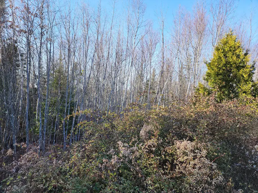 35 Trout Brook Lane, Searsport, ME 04974 - #2