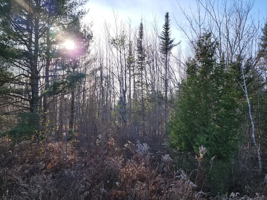 35 Trout Brook Lane, Searsport, ME 04974 - #3