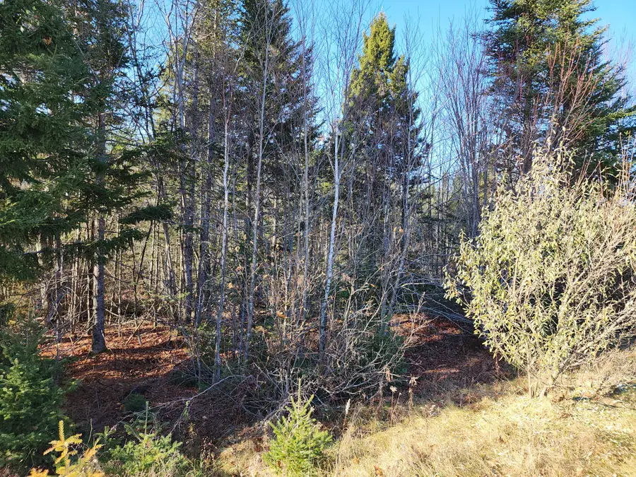 41 Sandy Ridge Lane, Searsport, ME 04974 - #2