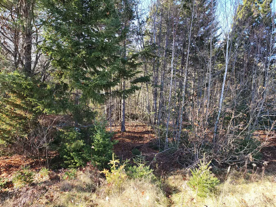 41 Sandy Ridge Lane, Searsport, ME 04974 - #3