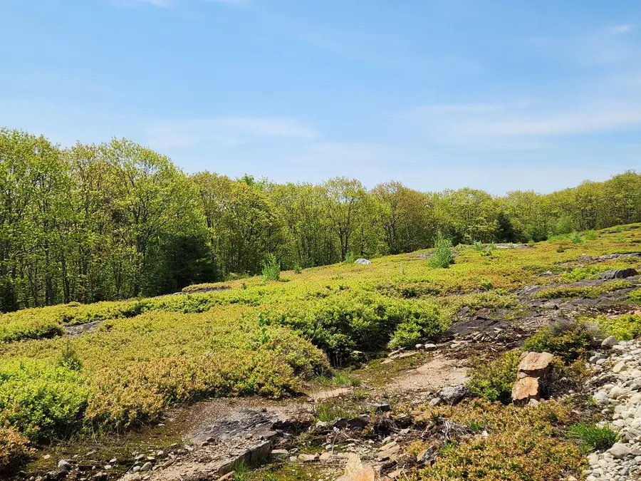 2 Whispering Berries Hill, Liberty, ME 04949 - #3