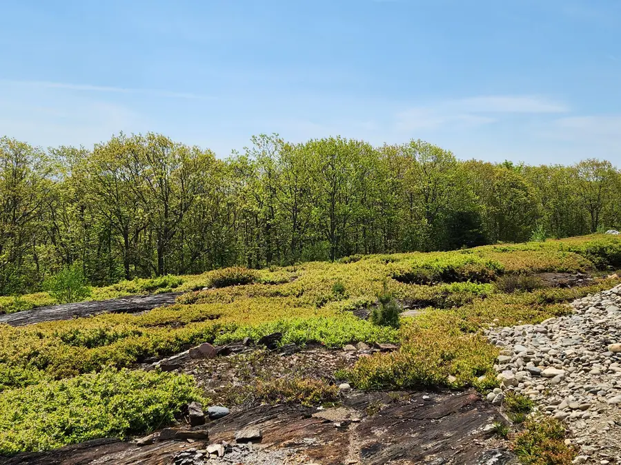 4 Whispering Berries Hill, Liberty, ME 04949 - #3