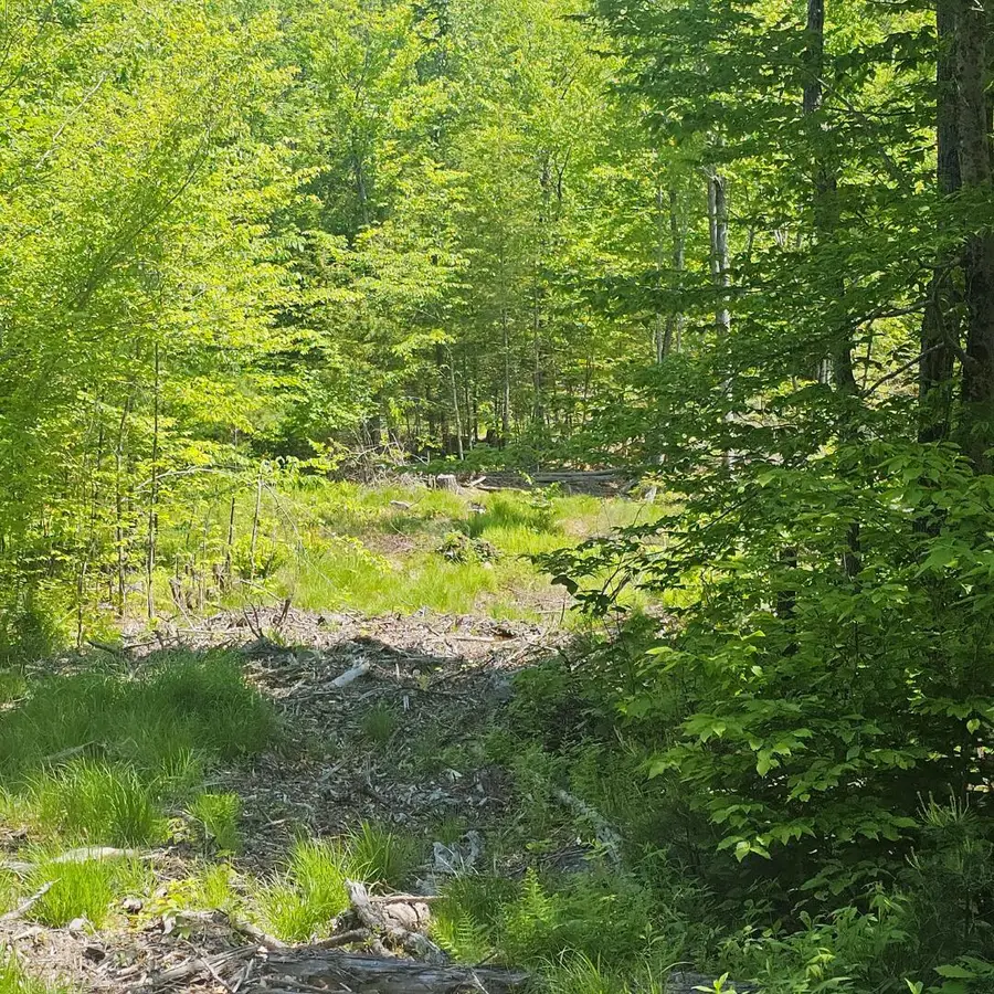 18A Isaac Stevens Road, Bridgton, ME 04009 - Image #2