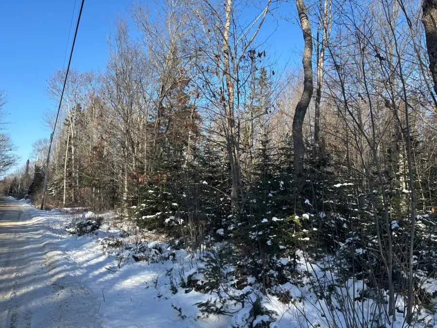 M11L17 Rogers Point Road, Steuben, ME 04680 - Image #3