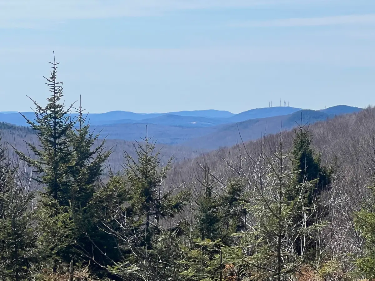 13 Moose Alley Road, Temple, ME 04984 - Image #1