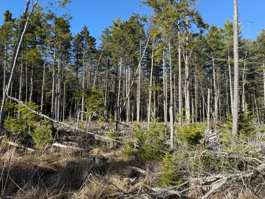 26-22-A Morgan Bay Road, Surry, ME 04684 - #3