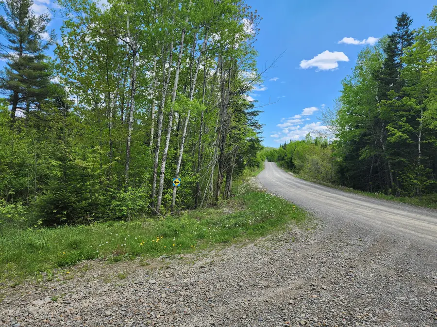 Lot 1 South Oakfield Road, Oakfield, ME 04763 - Image #2