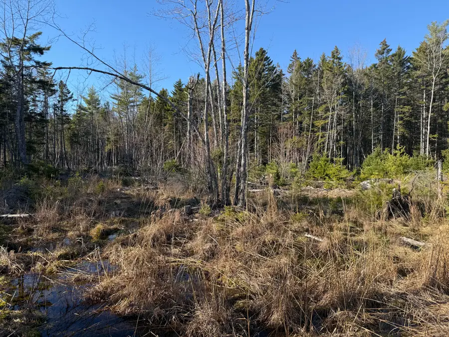 429 Morgan Bay Road, Surry, ME 04684 - #2