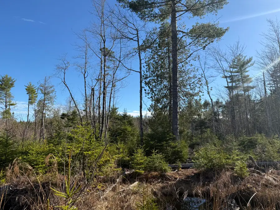429 Morgan Bay Road, Surry, ME 04684 - #3