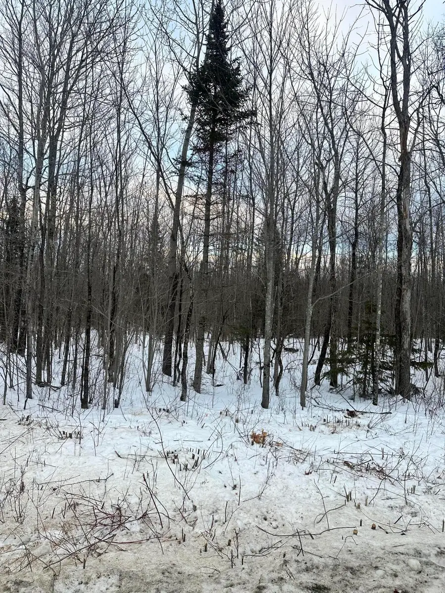 Lots 48,49 Middle Road, Bradford, ME 04410 - Image #3