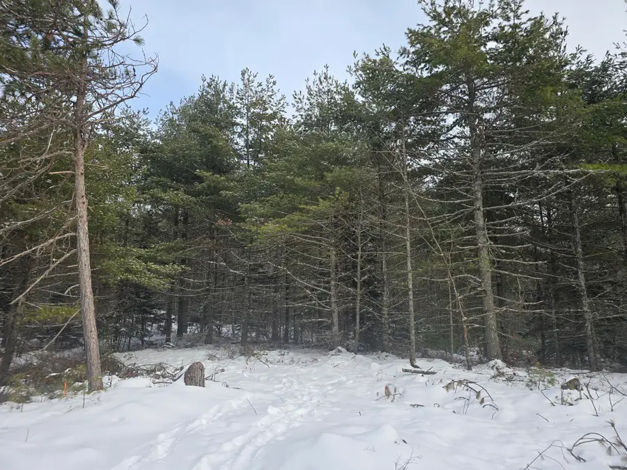 0 Victory Lane, Phippsburg, ME 04562 - Image #3