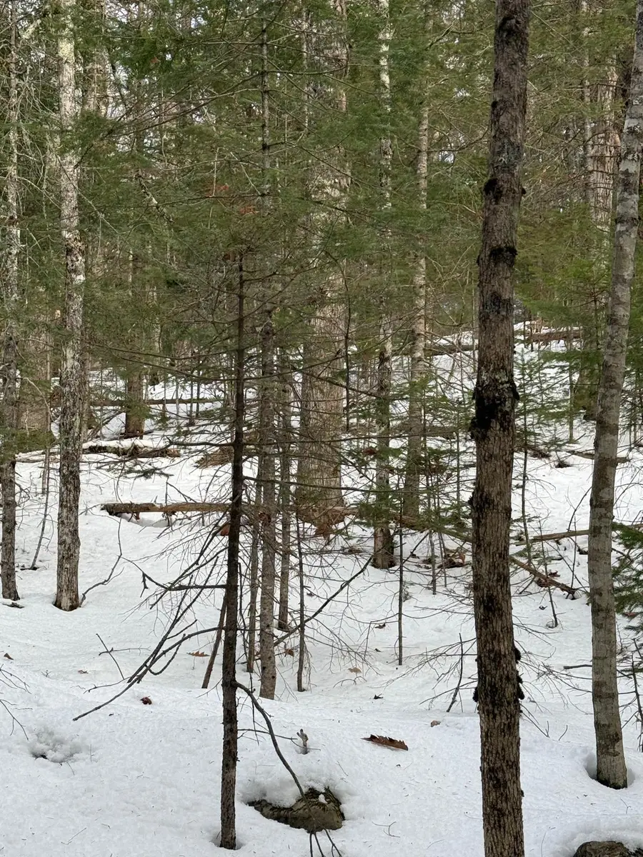 Map4Lot11 East Bucksport Road, Orrington, ME 04474 - Image #3