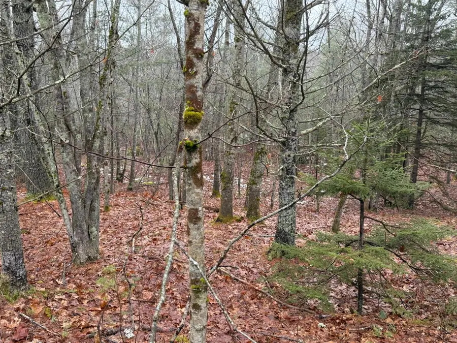 Lot 068003 Shore Road, Bremen, ME 04551 - Image #2