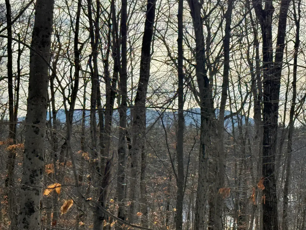 Lot 15-3A Sweden Road, Bridgton, ME 04009 - Image #1