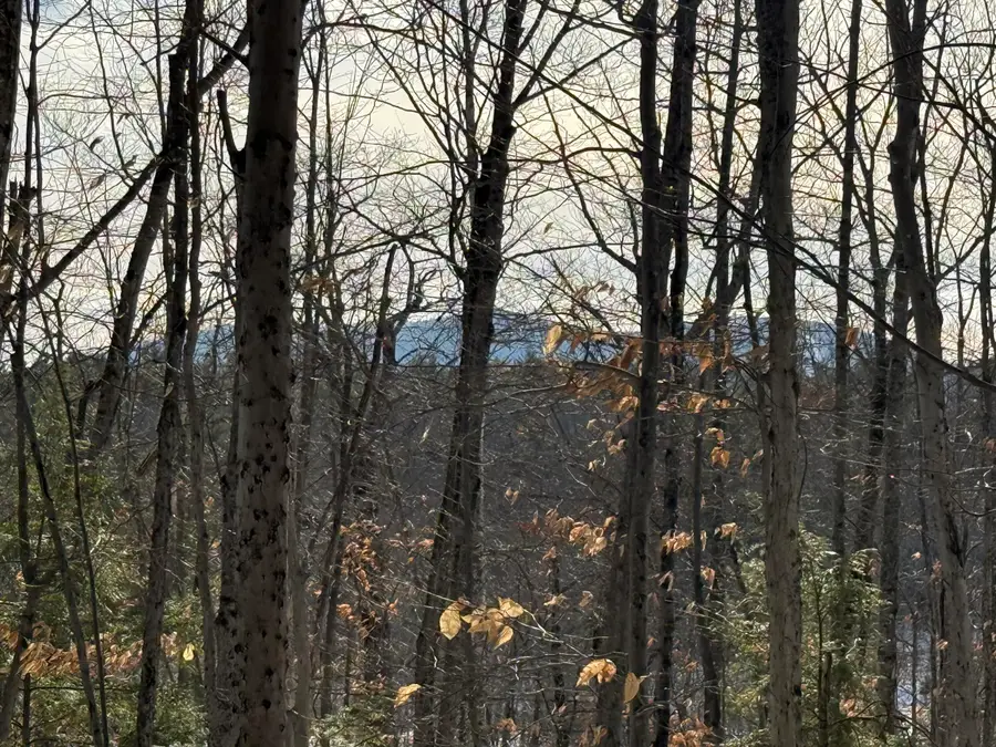 Lot 15-3B Sweden Road, Bridgton, ME 04009 - Image #2