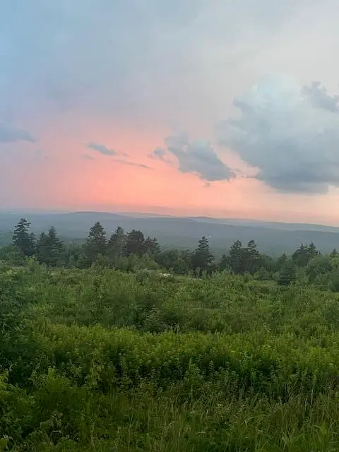 533 Mount Ephraim Map 4 Lot 63 Road, Searsport, ME 04974 - #3