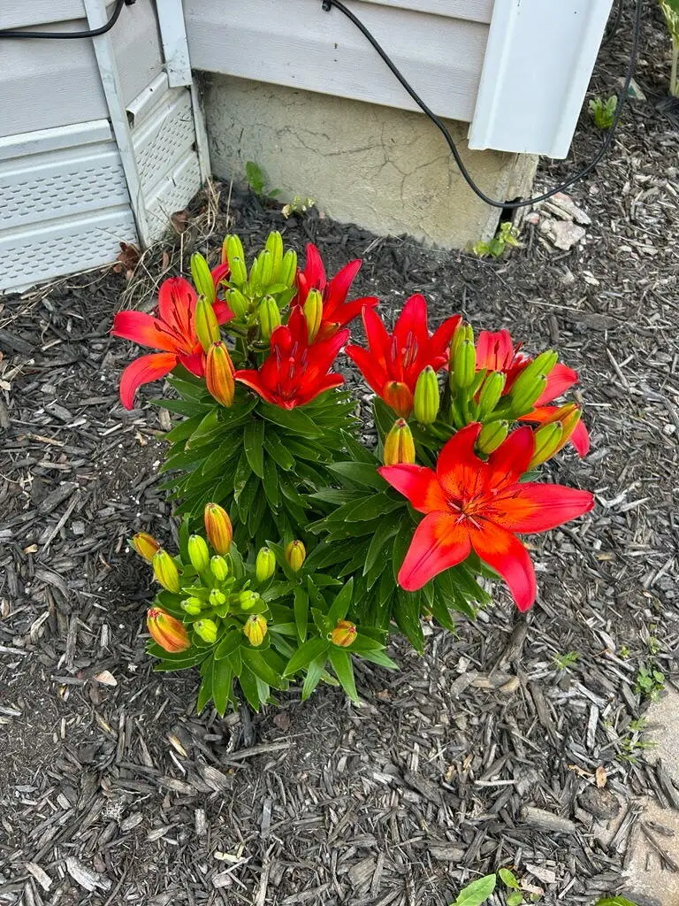 100 3rd Street, Bangor, ME 04401 - Image #2