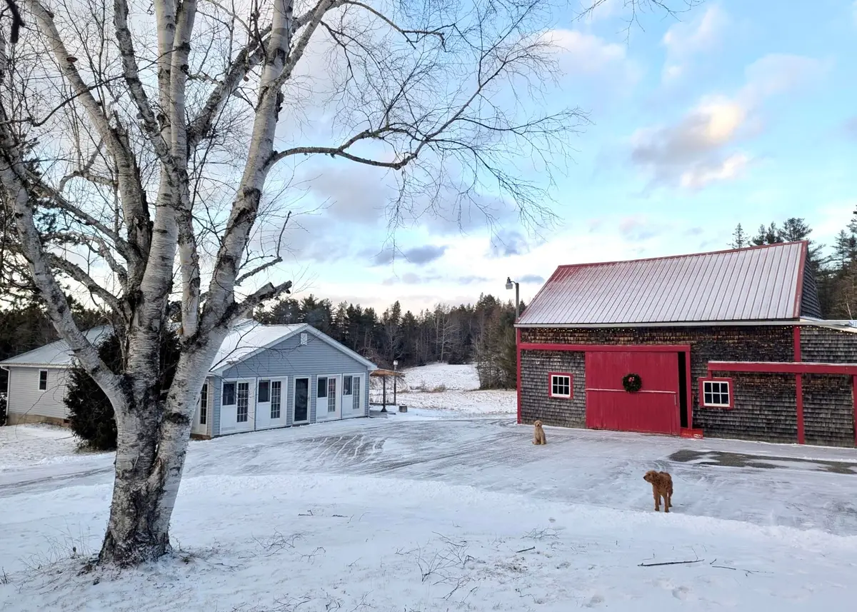 252 Ox Cove Road, Pembroke, ME 04666 - Image #1