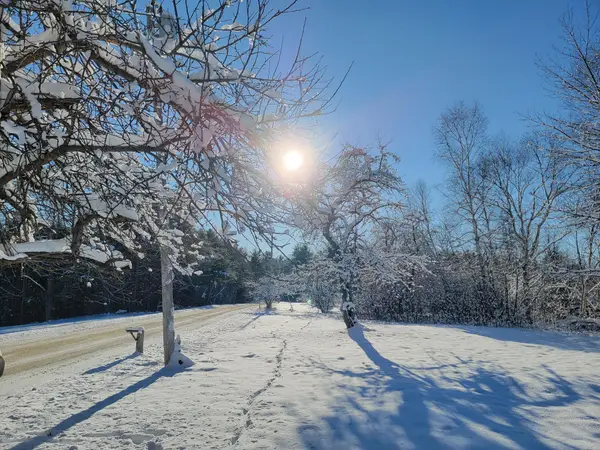 4-8 Macomber Mill Road, Eastbrook, ME 04634