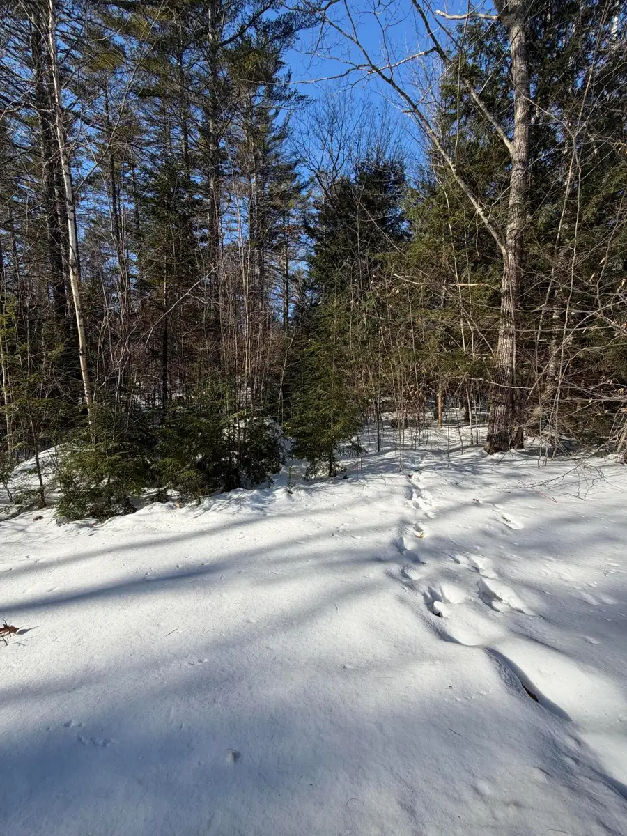 10 Merriman Drive #10, Bethel, ME 04217 - Image #2