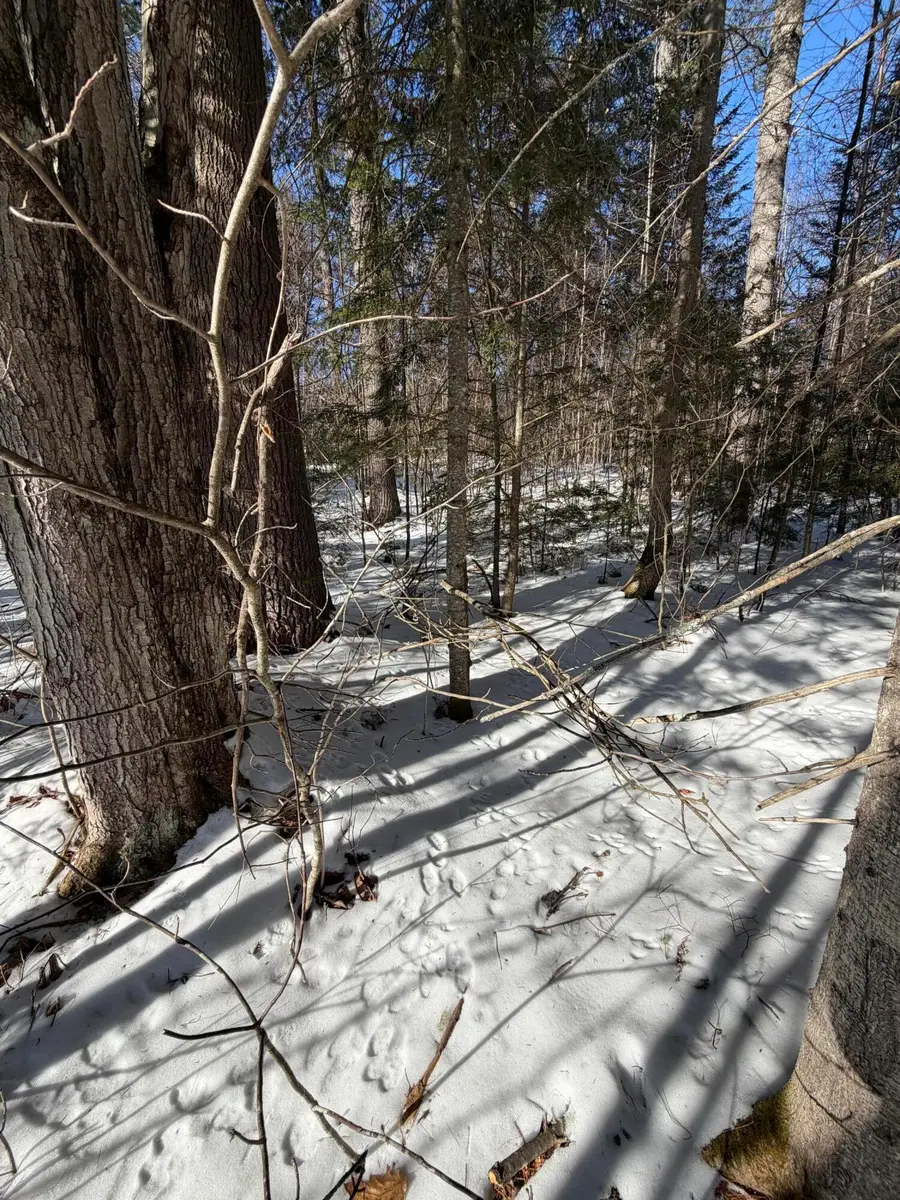 10 Merriman Drive #10, Bethel, ME 04217 - Image #3