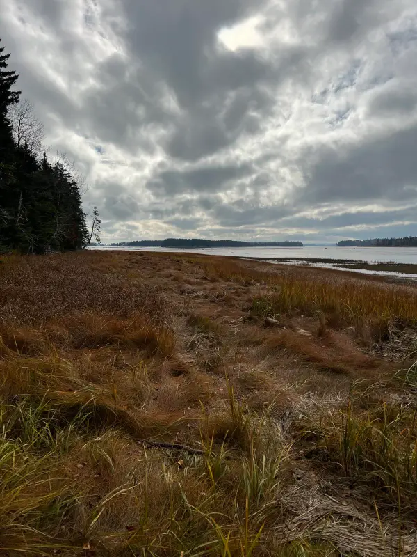 Lot 181 Rays Point Road, Milbridge, ME 04658