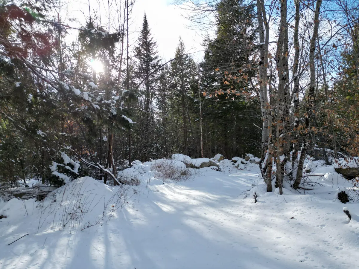 16 Crooked Pond Road, Lincoln, ME 04457 - Image #1