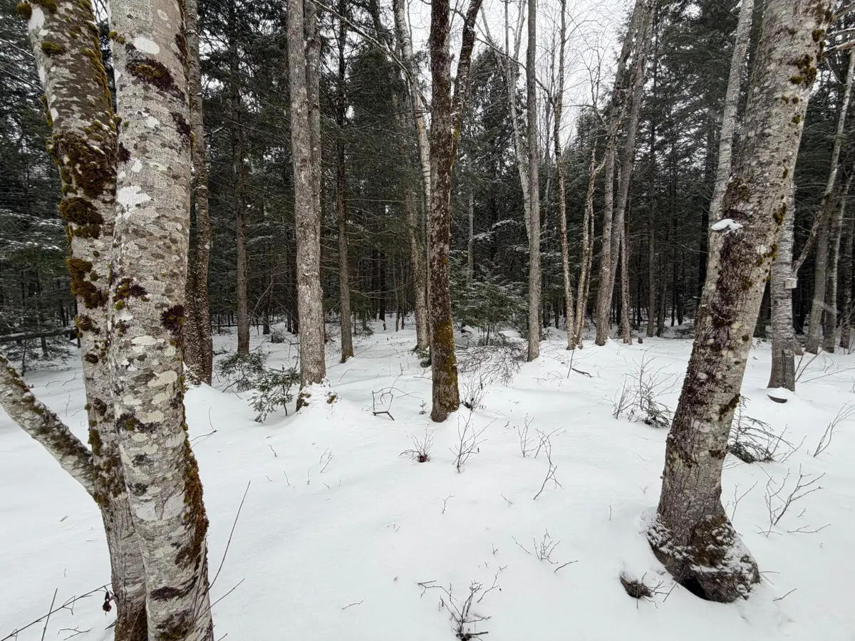 20 Compromise Drive, Lagrange, ME 04453 - Image #1