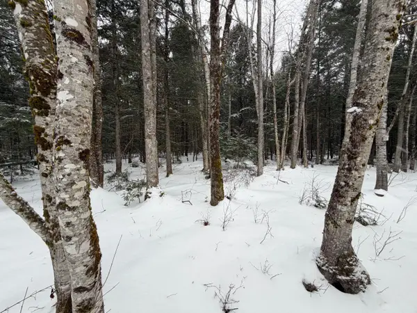 20 Compromise Drive, Lagrange, ME 04453