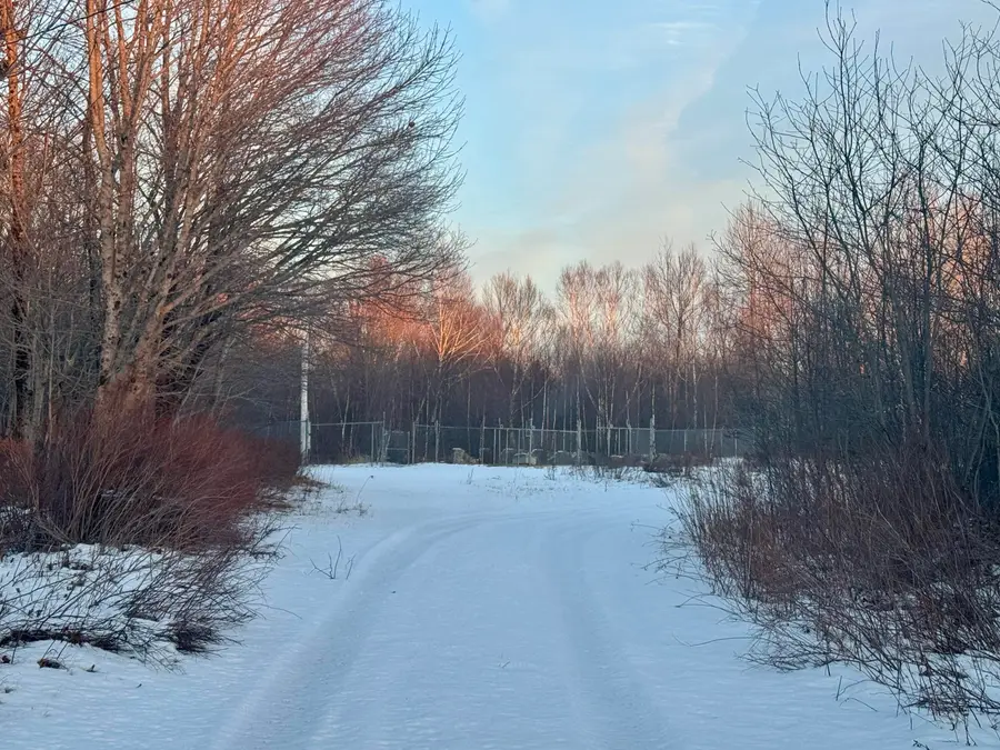 119 County Road, Eastport, ME 04631 - Image #2