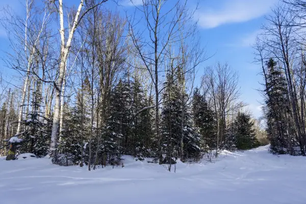 082-006 Town Farm Road, Lincoln, ME 04457