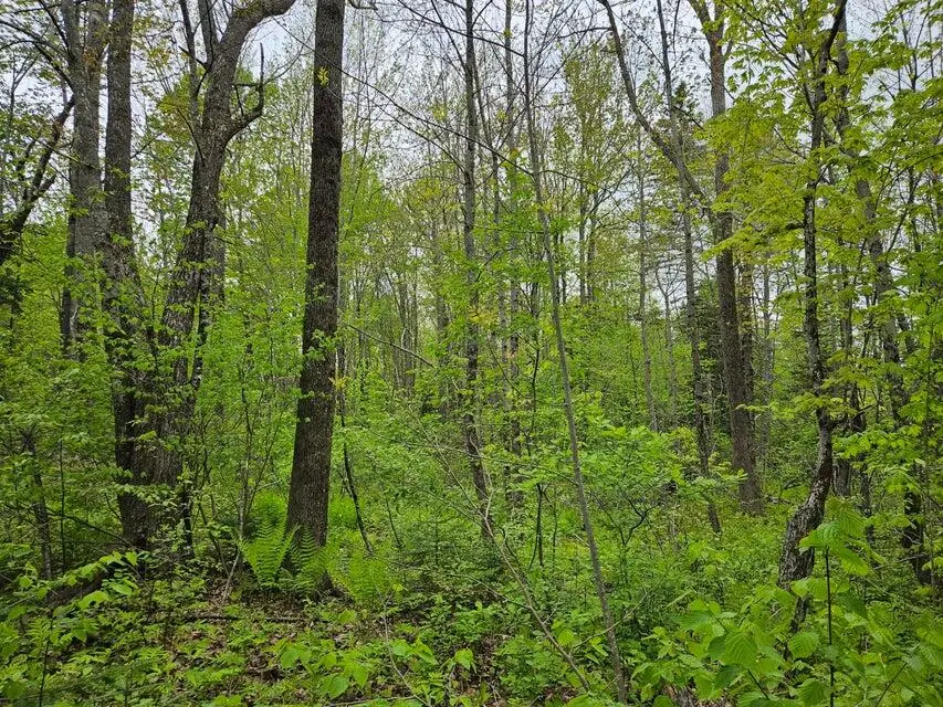 681 Mile Hill Road, New Sharon, ME 04955 - Image #2