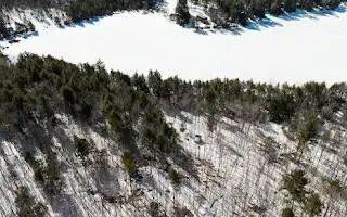 M5L38-1 North Shore Of Center Pond, Sangerville, ME 04479 - Image #3